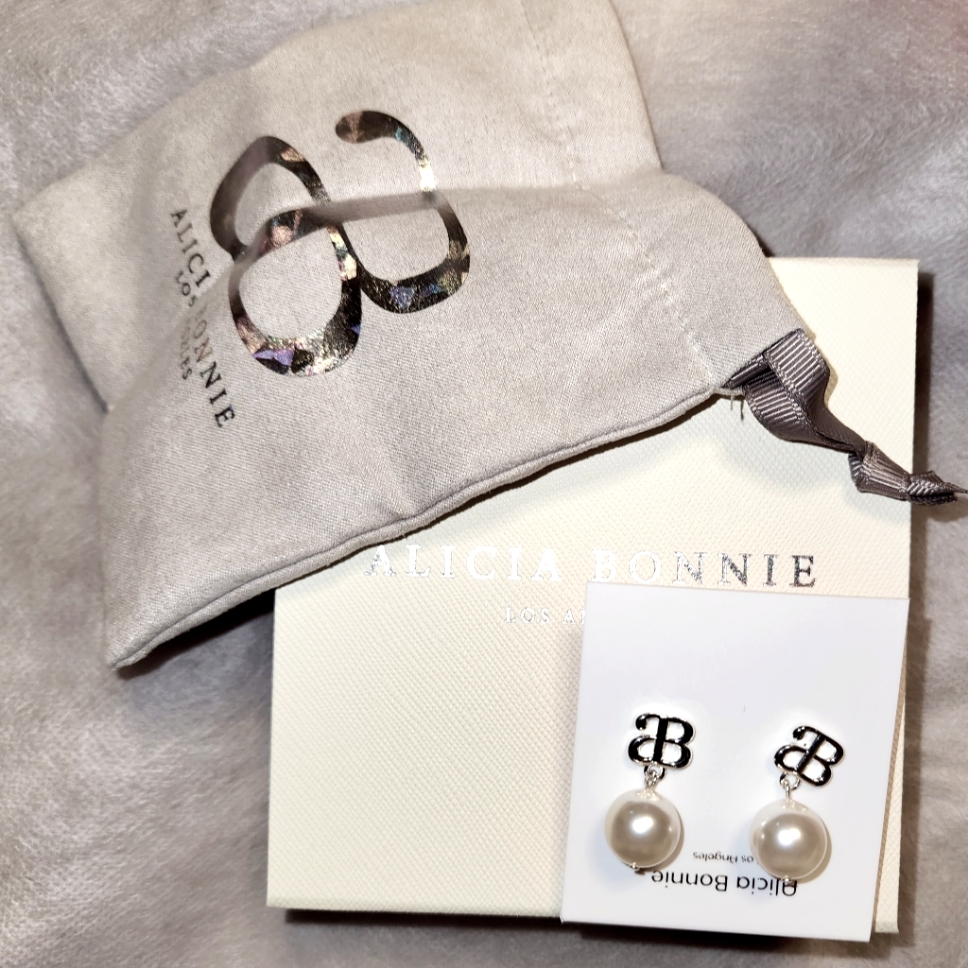 Alicia Bonnie Nwt Earrings Dust Bag And Box 24$